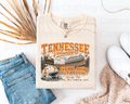 Tennessee Stadium Shirt